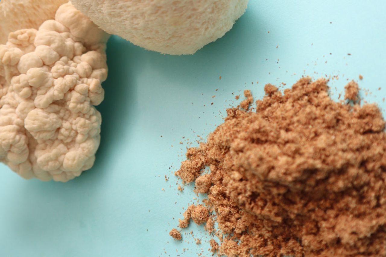 Lion's Mane (Hericium erinaceus): NGF, Neurogénesis y Salud Intestinal