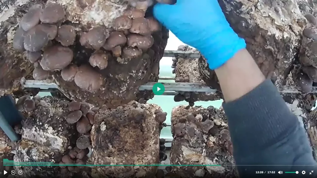 Comunidad de Cultivadores