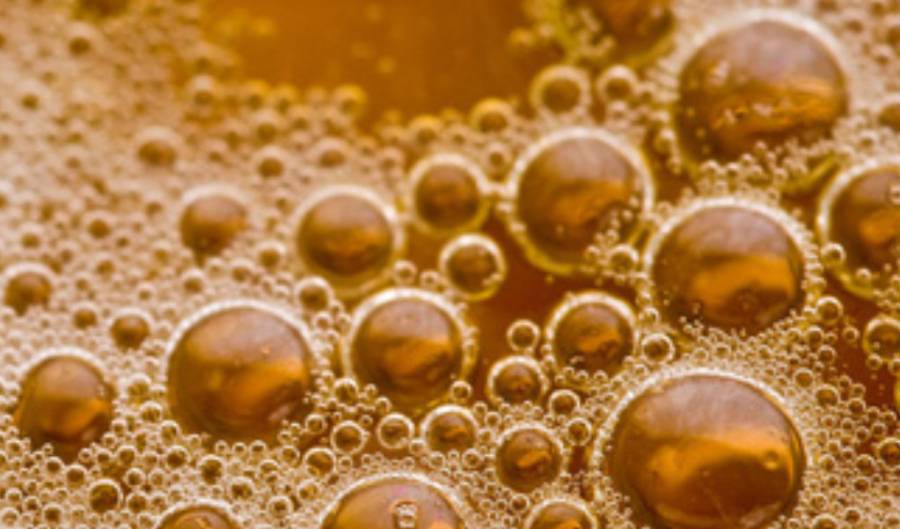 Las levaduras son pequeños gigantes de la biotecnología. Explora su historia evolutiva, su presencia en nuestro cuerpo y su futuro en la sostenibilidad y ecología.