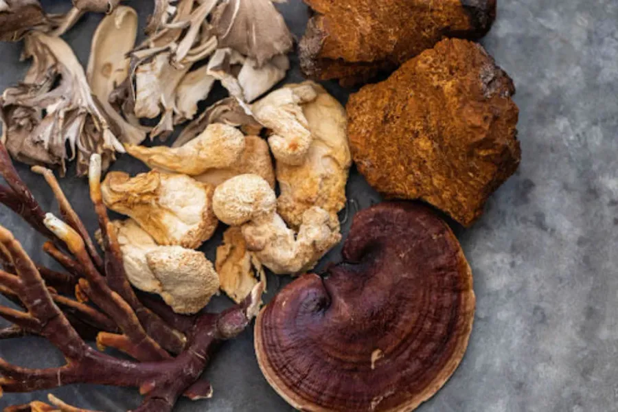 El hongo parásito de los abedules con el ORAC más alto medido. Descubre la ciencia del ácido betulínico (anti-tumoral derivado de la corteza de abedul), superóxido dismutasa (SOD), melanina y por qué el Chaga silvestre es 10x más potente que el cultivado.