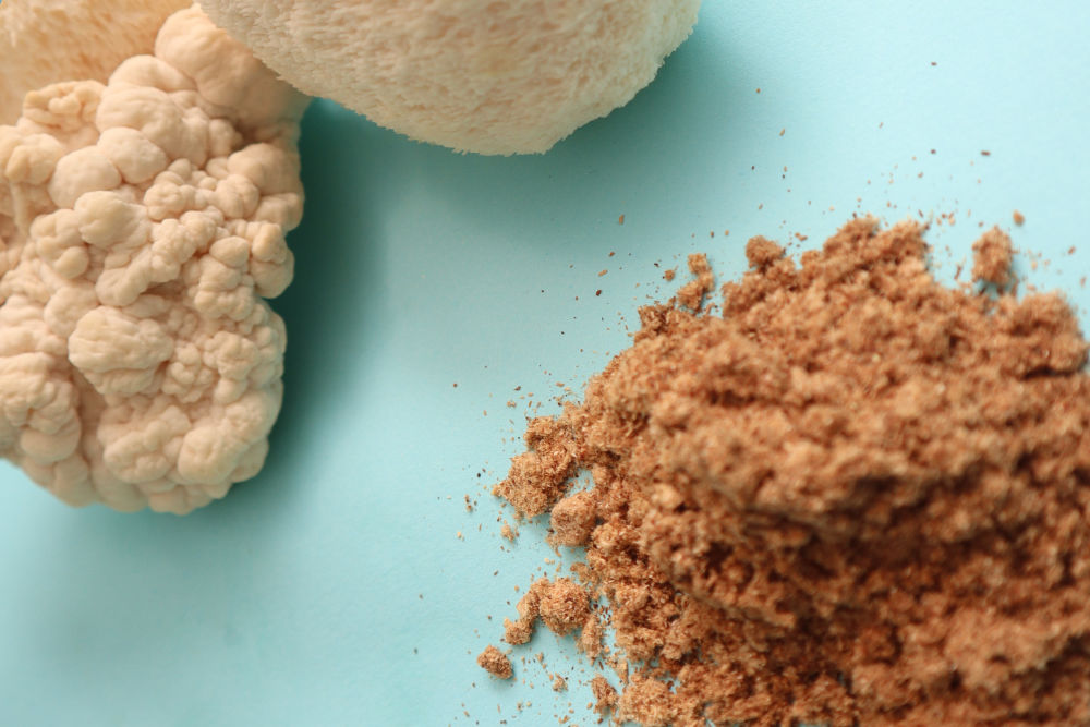 Lion's Mane (Hericium erinaceus): NGF, Neurogénesis y Salud Intestinal