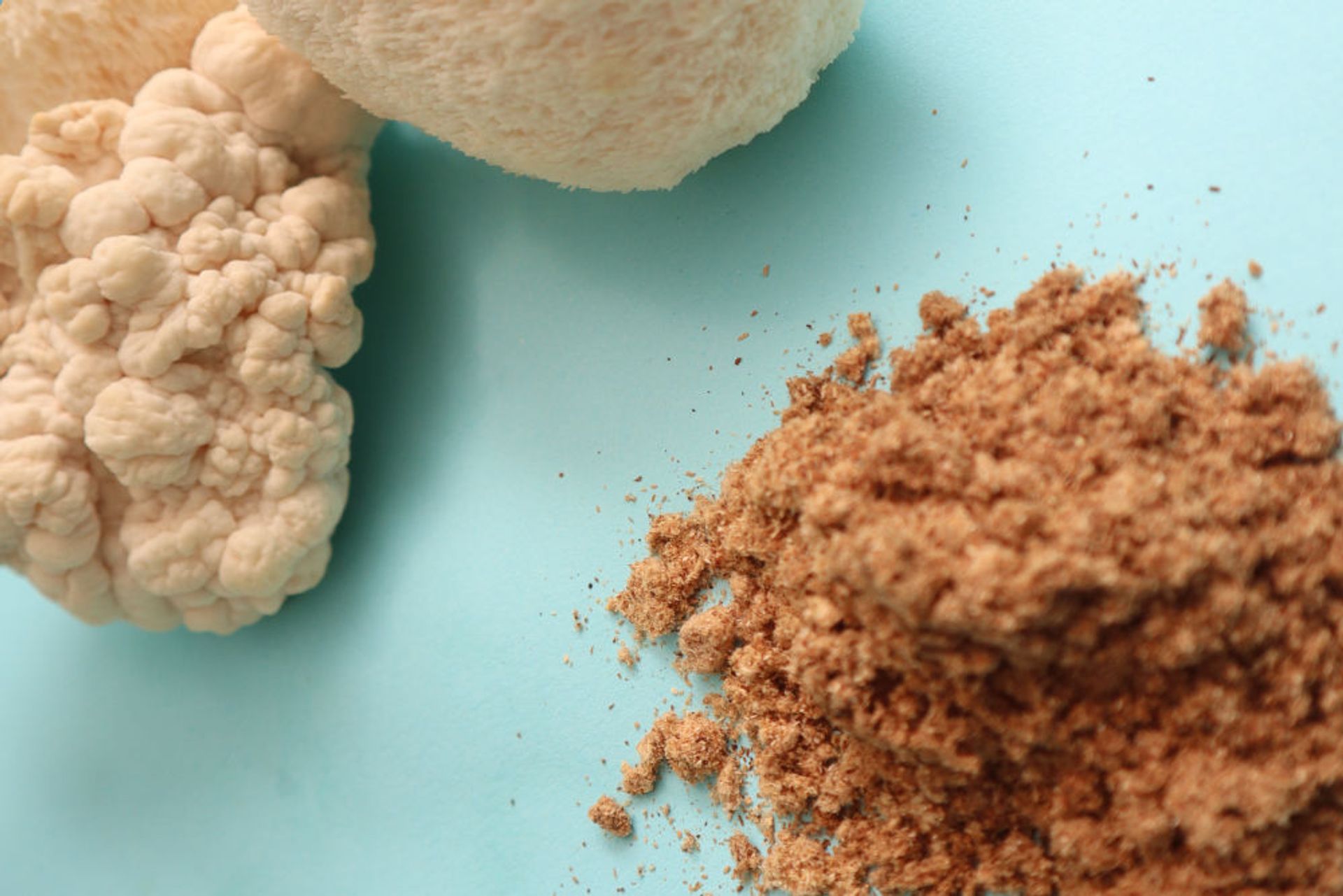 Lion's Mane (Hericium erinaceus): NGF, Neurogénesis y Salud Intestinal