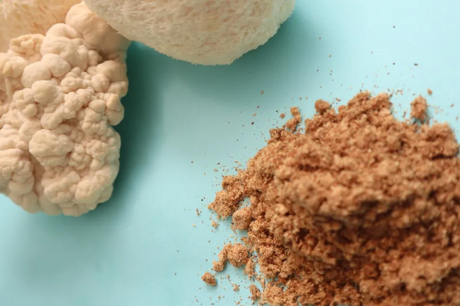 No es magia, es neurogénesis. Descubre cómo el Hericium erinaceus estimula el Factor de Crecimiento Nervioso (NGF), repara el eje intestino-cerebro y por qué es la esperanza contra el Alzheimer.