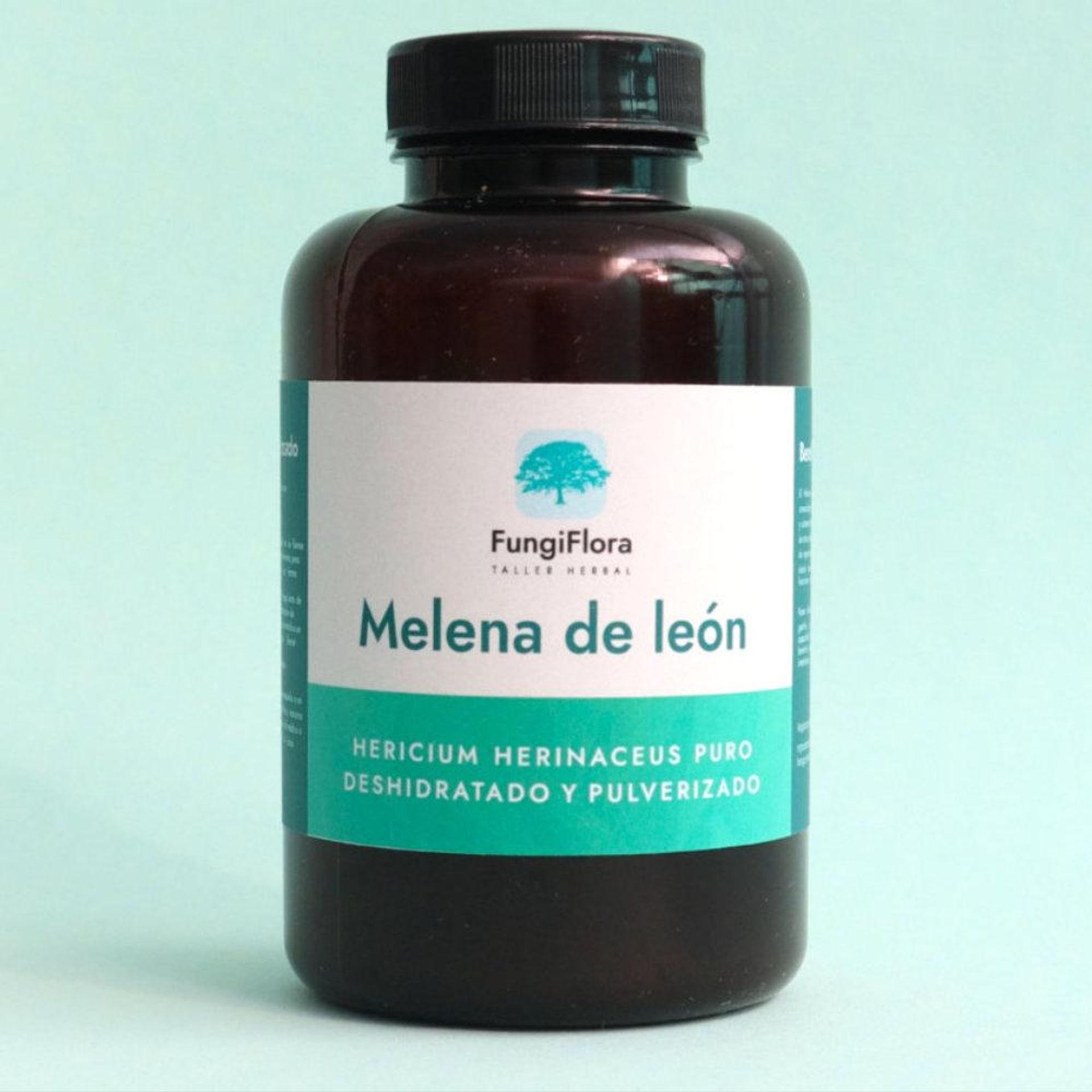 Hifasíestructura y funciones