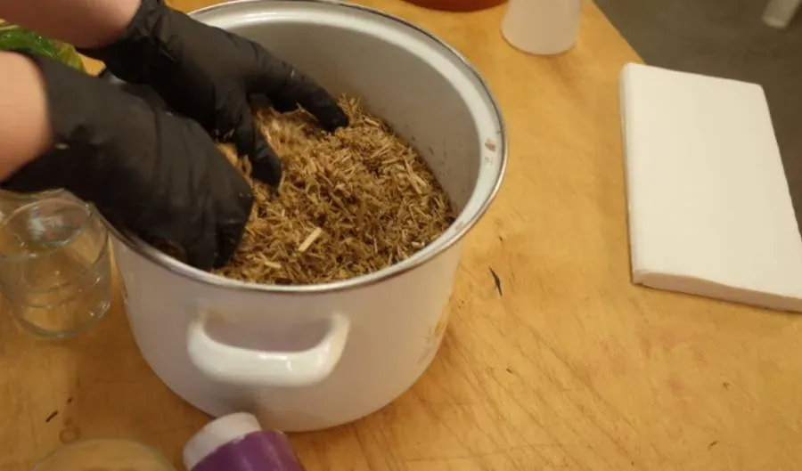 Sustrato para Cultivo