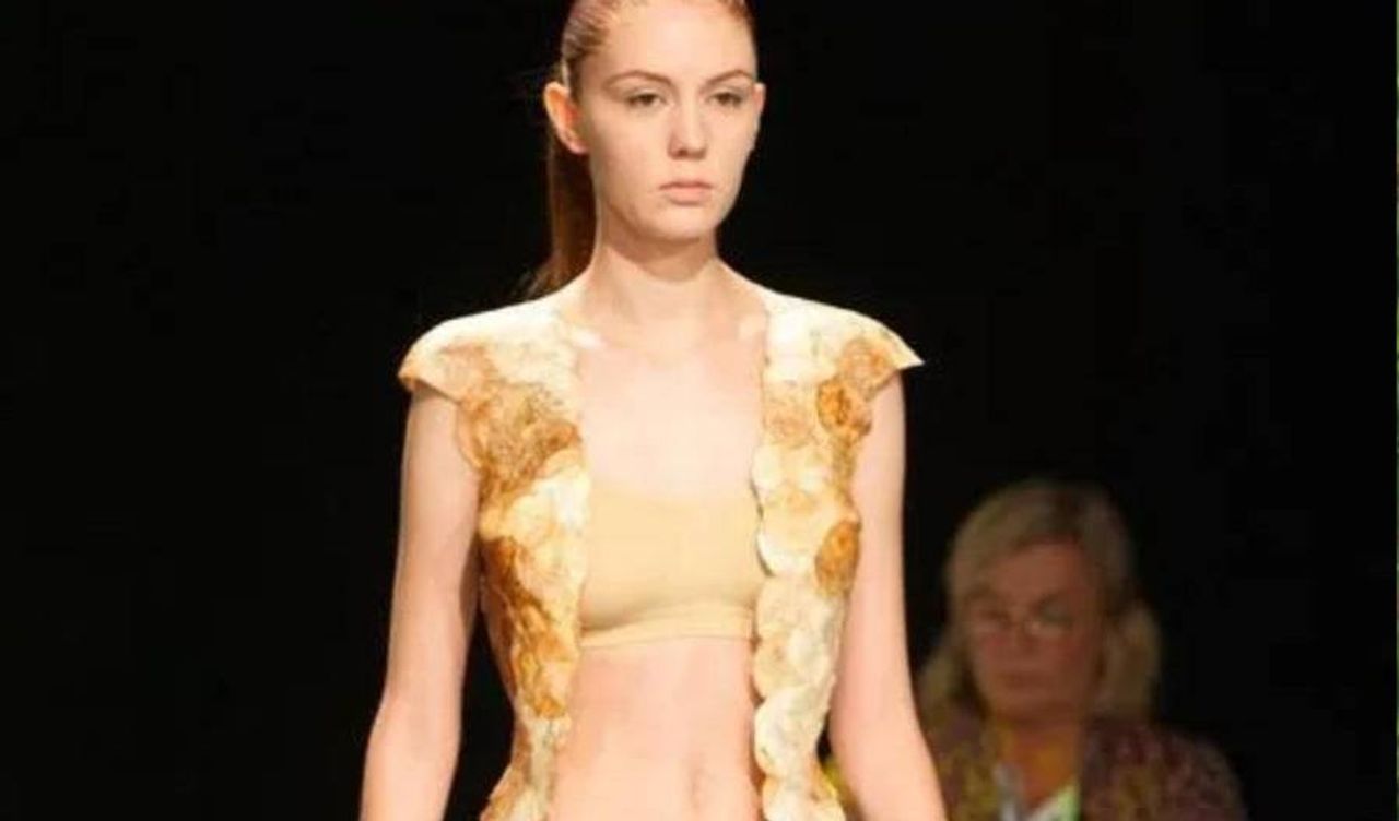 Moda Sostenible con Hongos: Revolucionando la Industria
