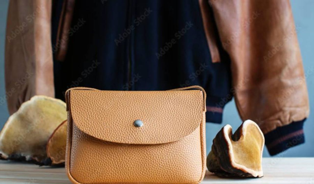 El lujo vuelve a probar el micelio: Bottega Veneta y la segunda oportunidad de los biomateriales