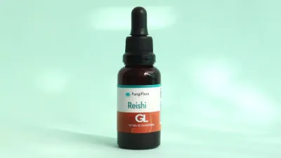 Comprar Reishi y elegir el mejor producto para su consumo