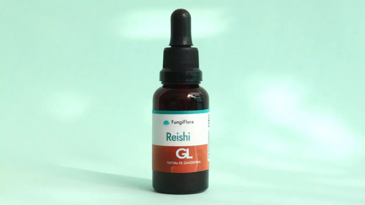 Comprar Reishi y elegir el mejor producto para su consumo
