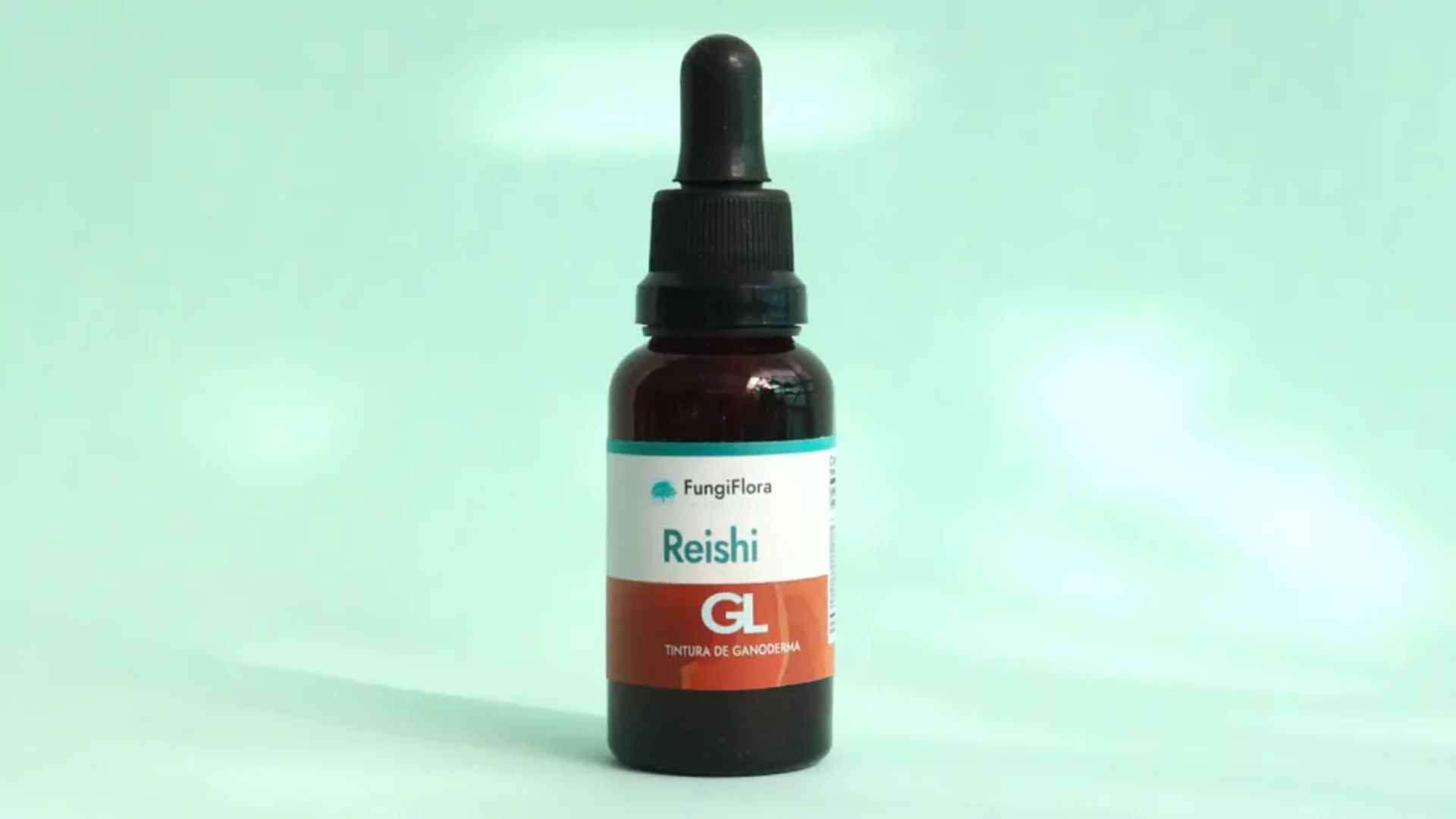 Comprar Reishi y elegir el mejor producto para su consumo