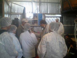 Producción de Micelio en Grano (Spawn)