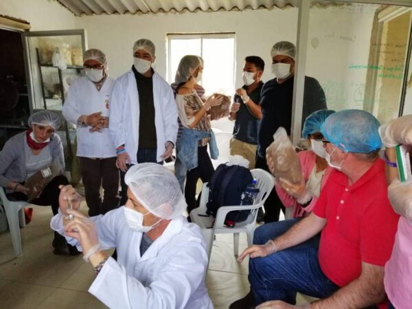 Producción de Micelio en Grano (Spawn)