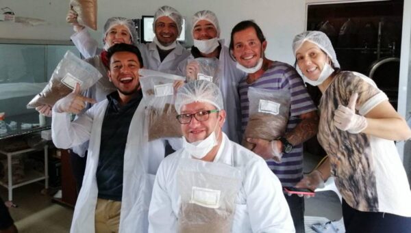 Producción de Micelio en Grano (Spawn)