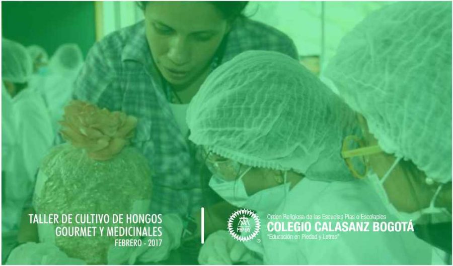 TALLER PARA NIÑOS Y JÓVENES EN FUNGICULTURA