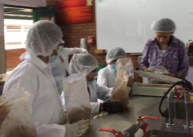 TALLER PARA NIÑOS Y JÓVENES EN FUNGICULTURA