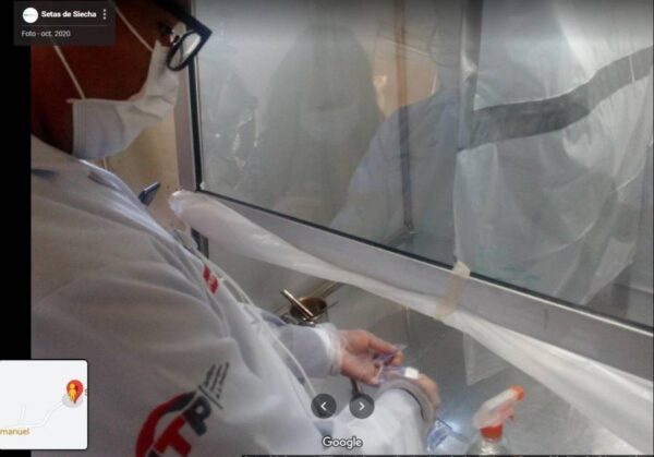 Producción de Micelio en Grano (Spawn)