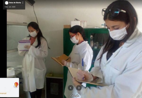 Producción de Micelio en Grano (Spawn)