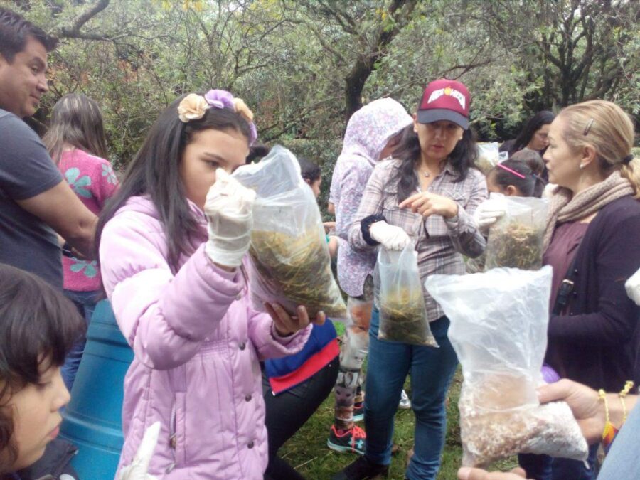 Un día entre hongos — experiencia fungi en Machetá