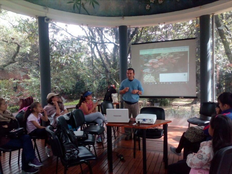 Inmersión Fungi: cultivo presencial de hongos