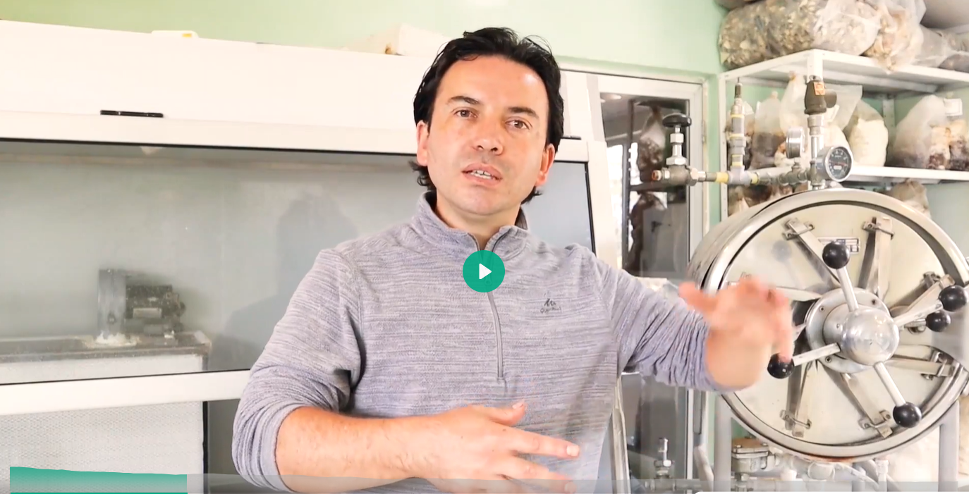 Felipe Vengoechea explicando procesos de cultivo en el laboratorio
