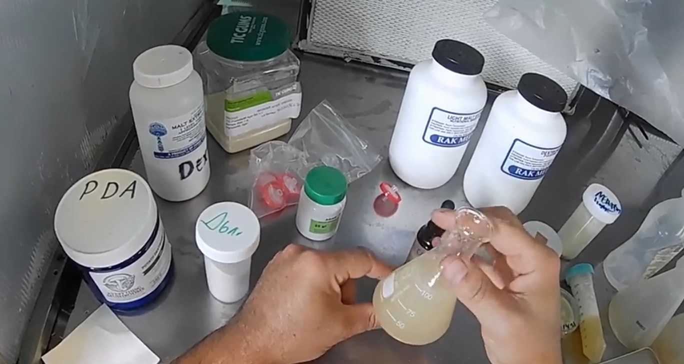 Trabajo de laboratorio con medios de cultivo líquidos