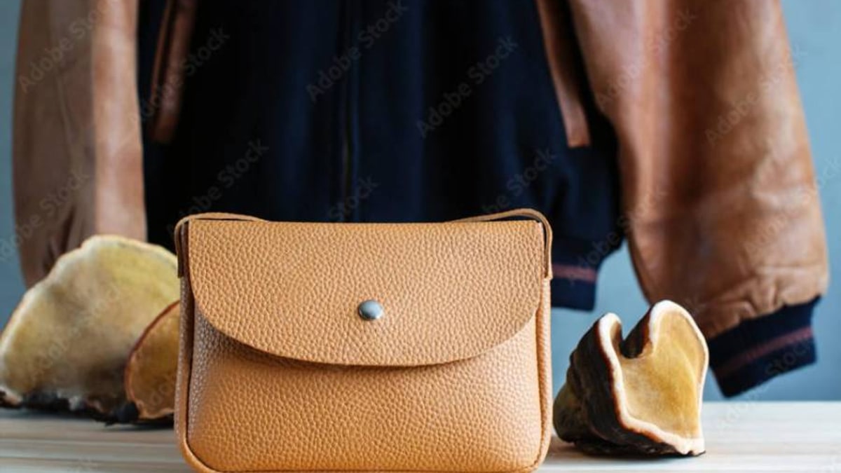 El lujo vuelve a probar el micelio: Bottega Veneta y la segunda oportunidad de los biomateriales