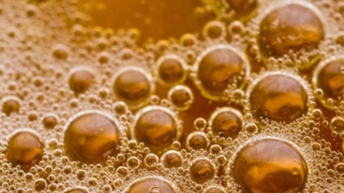 Un refresco vencido alimentando micelio: la proteína fúngica mira hacia los residuos dulces