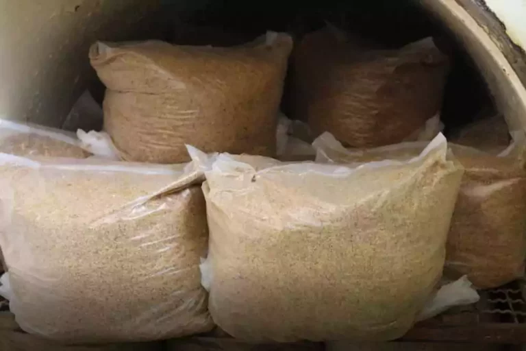 Esterilización para cultivar setas  2 Sustrato para orellana