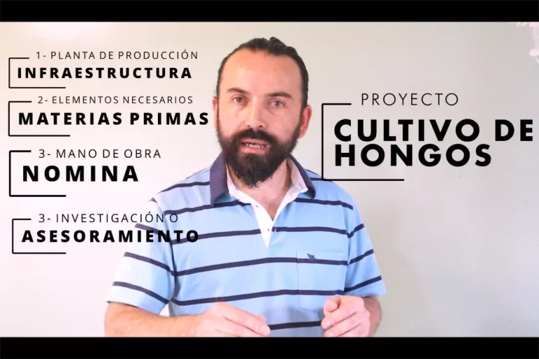 Inversión proyecto de cultivo de hongos 6 empresa de hongos 1