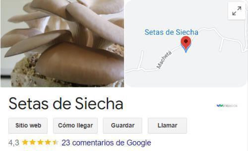 Curso De Cultivo De Hongos Gourmet Y Medicinales / Presencial 16 Setas de siecha google