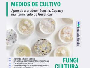 Cursos de fungicultura