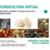 Curso virtual de cultivo de hongos y setas