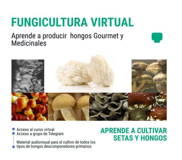 Curso virtual de cultivo de hongos y setas